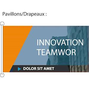Sublimation sur maille drapeau et confection pavillon (renfort avec 2 anneaux PVC côtés gauche sur la hauteur de 200cm et couture sur les 3 autres côtés).