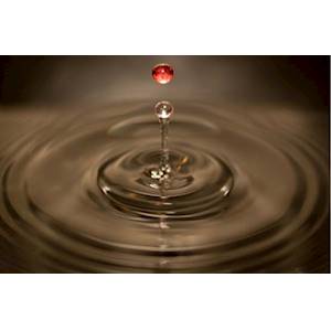 Finitions : Impression quadri haute définition sur adhésif transparent sans impression de blanc, lamination mate ou brillante. Découpe possible : formes géométriques ou à la forme. Avantages : Vinyle transparent. Exemples d'applications : Stickers, d... 